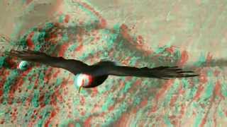 Кондор condor нло Наска stereo video 3D Glasses Anaglyph red and blue glasses [upl. by Geilich]