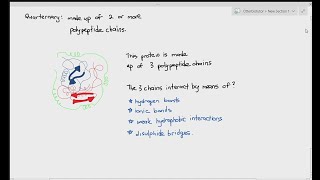 212 Proteins Tertiary amp Quarternary Structure Cambridge AS amp A Level Biology 9700 [upl. by Nivram393]