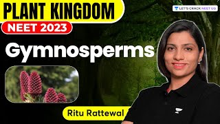 Phoenix 20 Biology Most Important Video for NEET 2025  Udaan [upl. by Viv]