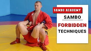 Illegal actions and techniques in sambo and combat sambo Sambo rules FIAS \ sambo academy [upl. by Dolph]