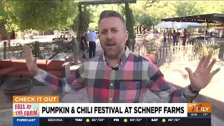 Explore pumpkin amp chili festival at Schnepf Farms in Queen Creek [upl. by Eanerb]