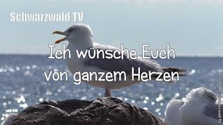 🎩🍀 Frohes neues Jahr 🥂🍾 Guten Rutsch 🏝️ Neujahrswünsche 🍾 Happy New Year Silvester Grußvideo [upl. by Drehcir]