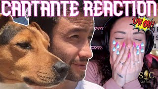 LUCIANO PEREYRA💔SERÉ LUNA PARK 2016💔ME ABRE EN DIRECTO😪cantante ESPAÑOLA REACTION amp ANALYSIS [upl. by Asserak]