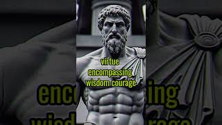 Why stoicism need to win the life🍷shorts stoic stoicism philosophyquotes viral fyi [upl. by Tnafni]