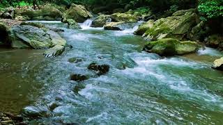 Babbling brook nature sounds river sounds for sleeping study relaxation Meditation ASMR [upl. by Gerc]