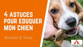 Comment éduquer mon chien   Les renforçateurs [upl. by Bosch]