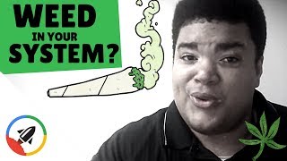 How Long Does Weed Stay In Your System [upl. by Rafaela]