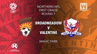 2019 NPL Northern NSW u20s and 1st Grade  Round 7  Broadmeadow Magic FC v Valentine Phoenix FC [upl. by Enidanreb124]