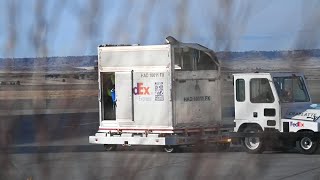 Horse flies FedEx from Alabama to Billings to get prosthetic leg in Cody [upl. by Wales]