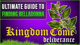 Ultimate Guide to finding Belladonna [upl. by Darken213]