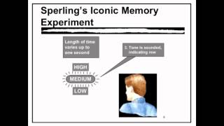 Sensory Memory  VCE Unit 3 Psychology [upl. by Ahseeyt]