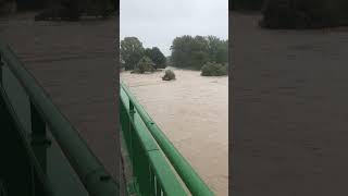 Hochwasser StPölten Süd  Traisenbrücke 150924 Lage 14 Uhr [upl. by Anujra413]