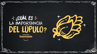 ¿Qué aporta el lúpulo a la cerveza Kunstmann [upl. by Jodi885]