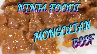 QUICK and EASY Mongolian Beef with The NINJA Foodie Smartlid [upl. by Nasar]