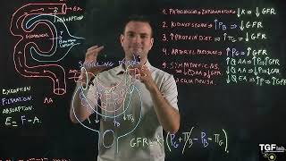 Glomerular Filtration Part 3 Control Mechanisms of Glomerular Filtration [upl. by Anaeli982]