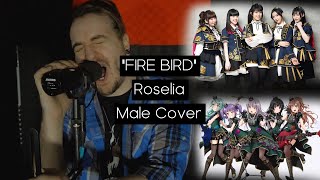 ”FIRE BIRDquot  Roselia  Male Cover [upl. by Toney6]