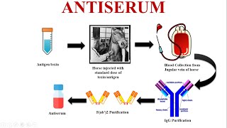 Antiserum An Emergency Tool for Saving Lives [upl. by Nageem]