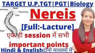 UPTGTPGTLT Grade biologyNereis Full lactureUptgtpgtbiologyclasesBsc biology By Priyal bhati [upl. by Ecinerev]