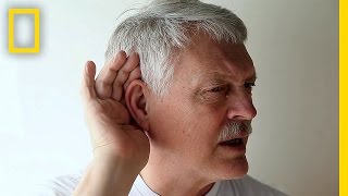 Take the HighFrequency Hearing Test  Brain Games [upl. by Eilesor999]