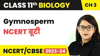 Gymnosperm  NCERT बूटी  Plant Kingdom  Class 11 Biology Chapter 3  NCERTCBSE [upl. by Olen426]