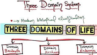 Archaea Bacteria Eukarya  Three Domain System l HindiEnglish l Explained by Neha sheikh [upl. by Demb603]