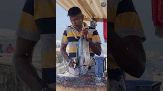 Amazing Huge Skipjack Tuna Smoothly Slicing To Small Pieces  Fast Fish Cutting Skills fishcutting [upl. by Akeemahs]