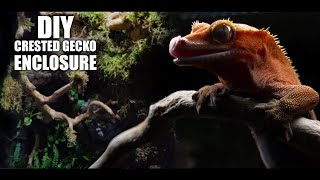 DIY crested gecko terrarium enclosure setup [upl. by Aremmat635]