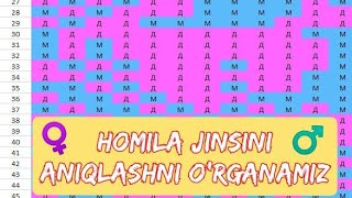 HOMILA JINSINI ANIQLASH KALENDARI  ОПРЕДЕЛИТЬ ПОЛ РЕБЕНКА [upl. by Ammej]