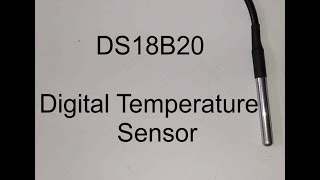 Interfacing DS18B20 Temperature Sensor with Raspberry PI [upl. by Amble710]