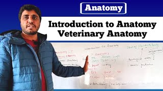 Introduction to Anatomy  Veterinary Anatomy [upl. by Ees]