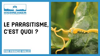 14 Questce que le parasitisme [upl. by Ajet]