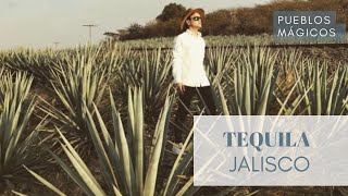 Tequila Jalisco  Pueblos Mágicos [upl. by Sairu373]