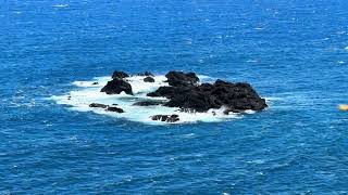 Charles Lindbergh grave Maui Island ￼ [upl. by Nauaj]