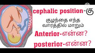 cephalic position in tamilசெபாலிக் position cephalic presentation [upl. by Divadnahtanoj]