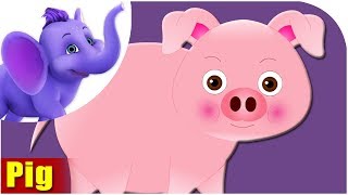 Animal Songs for kids  Pig Song [upl. by Finbar]