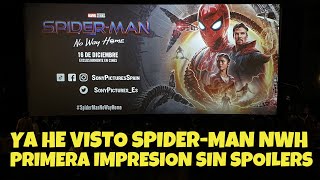 SPIDERMAN NO WAY HOME  Official Teaser Trailer HD [upl. by Ellesig]