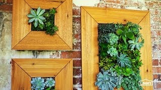 DIY Vertical Succulent Garden [upl. by Guendolen795]