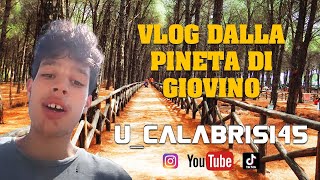 VLOG DALLA PINETA DI GIOVINO UCALABRISI [upl. by Carli]