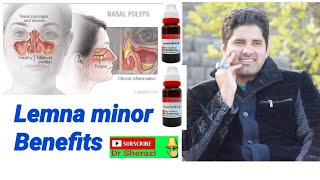 Lemna minor uses amp Sign symptoms Homeopathic medicine for nasal polyps and treatment [upl. by Ettolrahs]