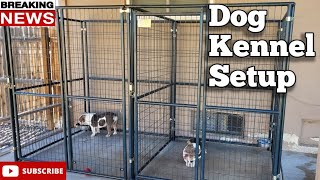 The New Outside Dog Kennel Setup [upl. by Dey]