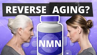 REVERSE AGING Dr David Sinclair on NMN amp Top NMN Benefits [upl. by Tansy366]