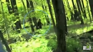 Best of Bigfootage  Finding Bigfoot [upl. by Noiram]