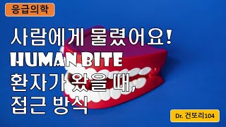 사람에게 물렸어요humanbite 사람에게 물린 환자가 왔을 때 접근 방식 [upl. by Meryl]