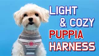 PUPPIA US Harness Introduction  Q Style [upl. by Booma]