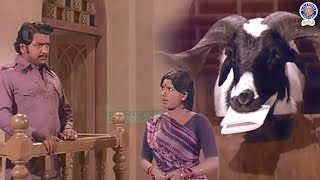 Indha Aaddu 🐐 dhaan sachi ah 😱😨😳 Aatukara Alamelu  Siva Kumar  Sri Priya  Nagesh rajshritamil [upl. by Milburt]