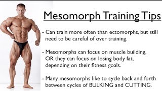 Ectomorph Endomorph or Mesomorph  Training for YOUR Body Type [upl. by Assirehs]