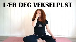 LÆR DEG VEKSELPUST NADI SHODHANA PRANAYAMA  5 MINUTTER GUIDET ØVELSE [upl. by Razal]