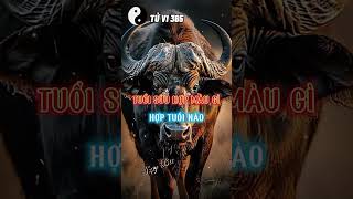 Tuổi Sửu Hợp Màu Gì Hợp Tuổi Gì P1 [upl. by Christos]