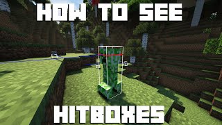 Minecraft  How to see ItemEntity Hitboxes [upl. by Dirgni]