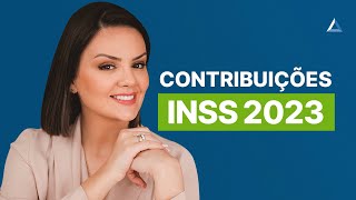 Quanto pagar de INSS em 2023 Contribuição para CLT autônomos MEI e facultativos [upl. by Karlik655]